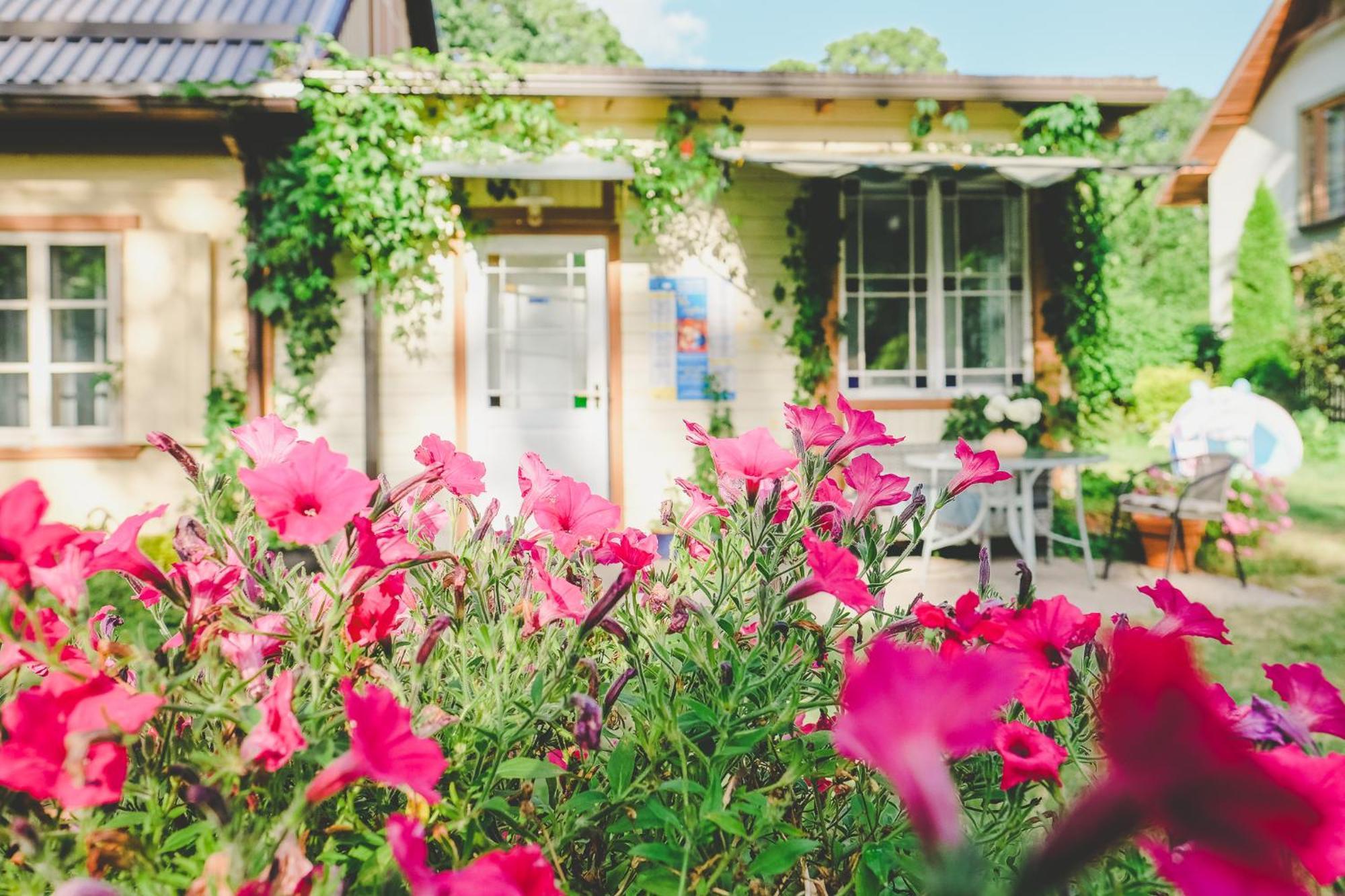 Villa Irbe Юрмала Экстерьер фото